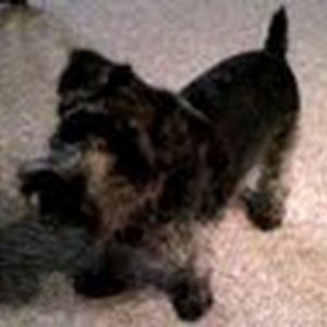 Meet your Posher, Chelsea lee solt